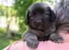 images/T-Wurf/T-Wurf Wo 6/3S8A2691_lila.jpg